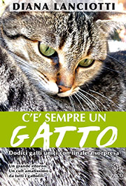 cop_libro_gatti.jpg